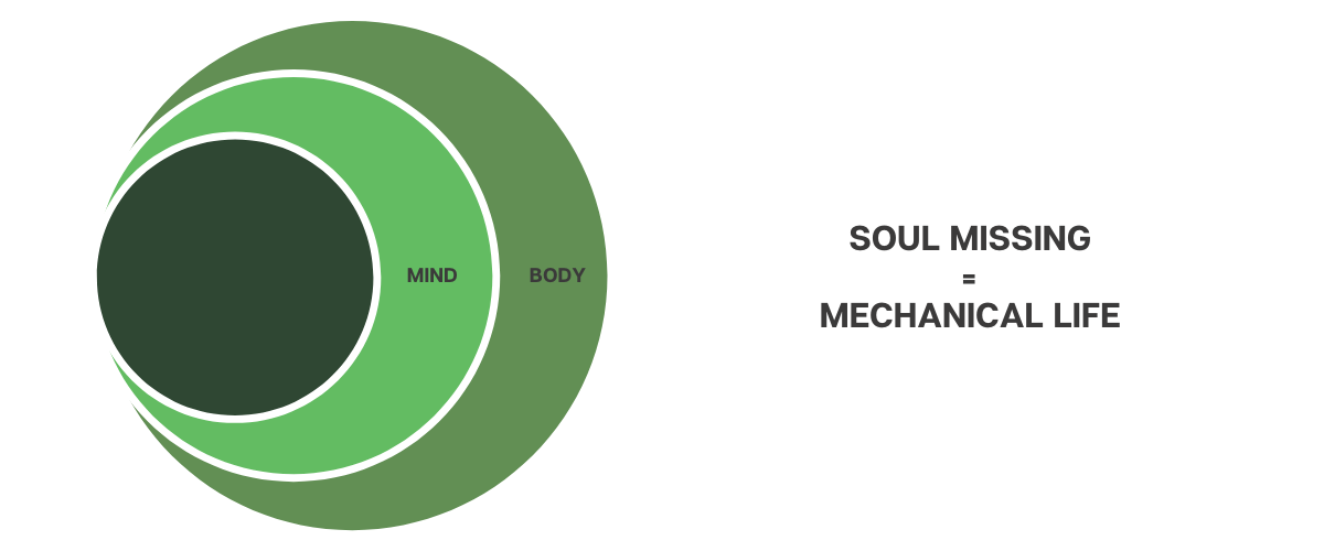 IntuiWell - Shivani Jain - Mind-Body-Soul Alignment - Soul Missing