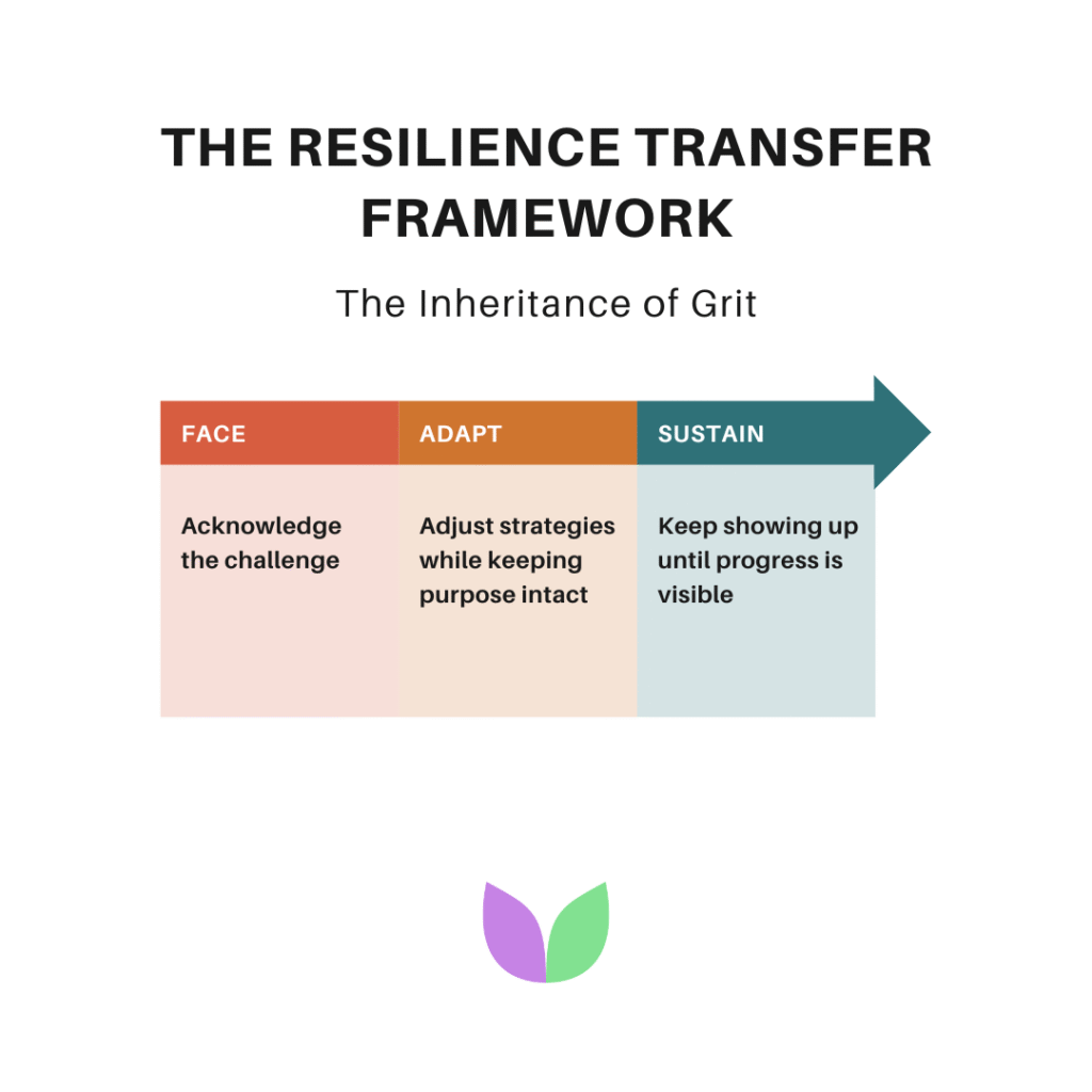 IntuiWell - The Resilience Transfer Framework - Structure