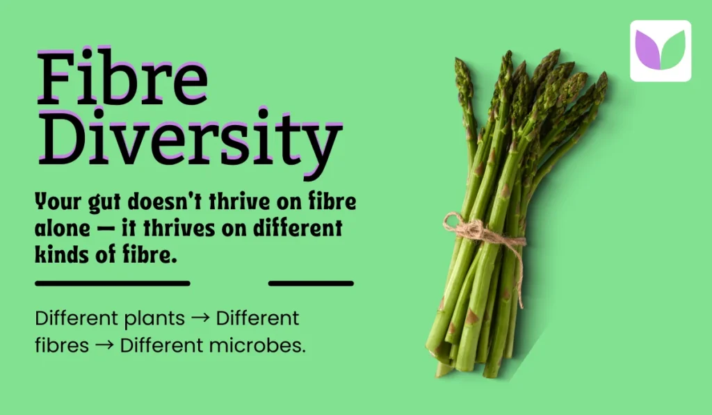Fibre Diversity: Your Gut Needs Variety, Not Just “More Fibre”