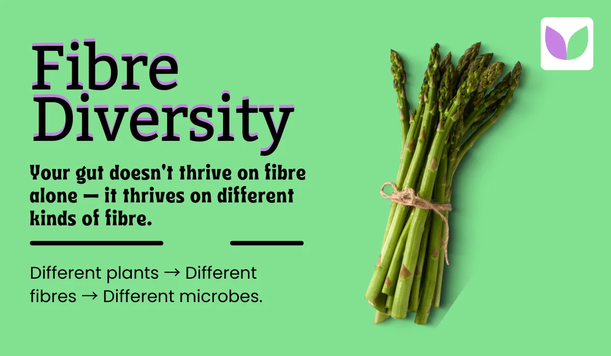 Fibre Diversity: Your Gut Needs Variety, Not Just “More Fibre”