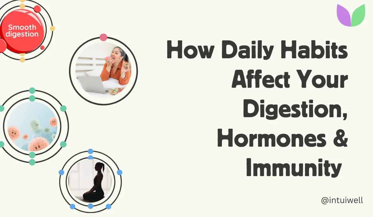 How Gut Health Shapes Your Digestion, Hormones, and Immunity