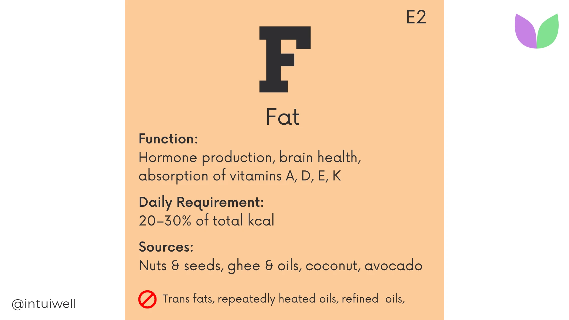 Healthy Fats Why Your Body Needs Them for Hormones, Energy, and Long-Term Health