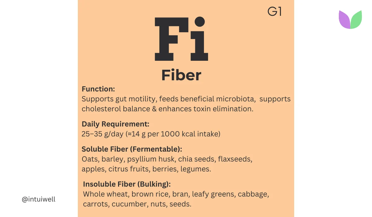 Dietary Fibre Benefits: Why Your Gut, Heart, and Blood Sugar Depend on It