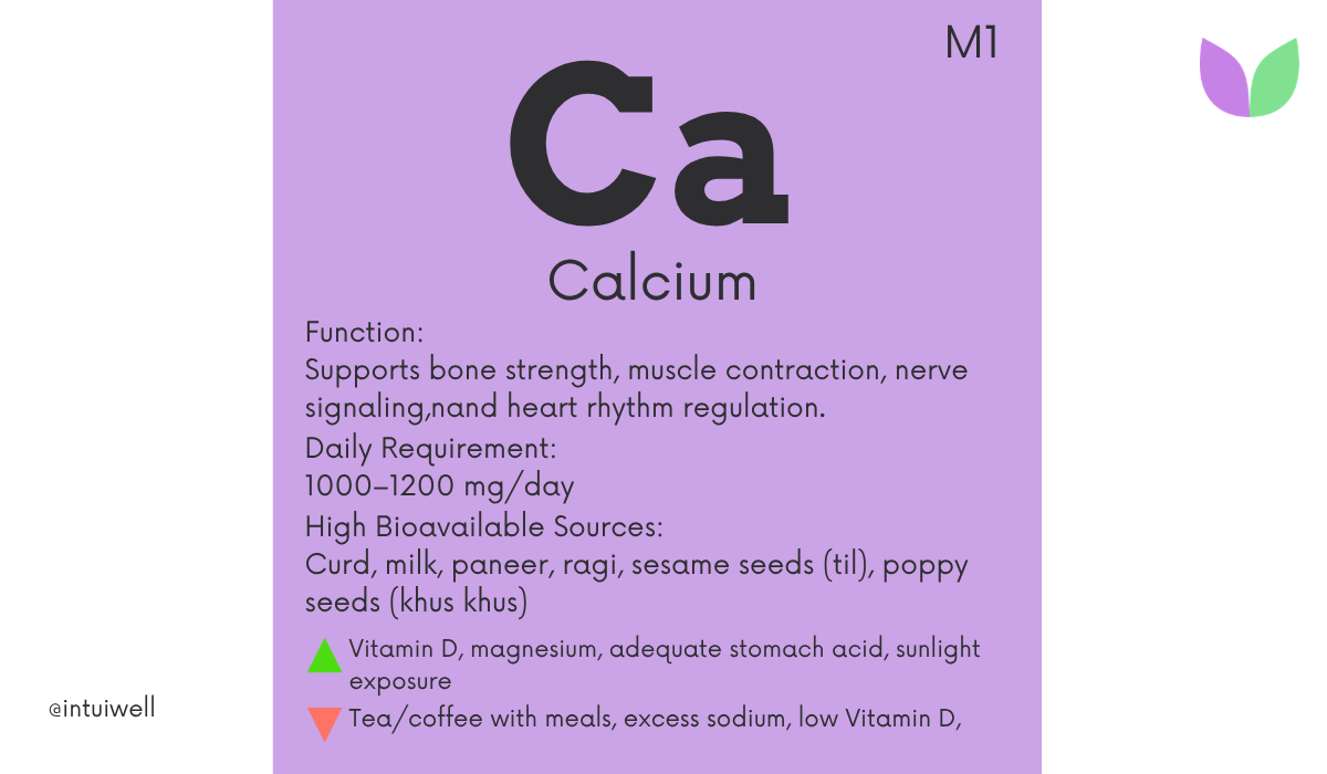 Calcium Benefits and Sources The Complete Guide to Strong Bones Muscles and Overall Health