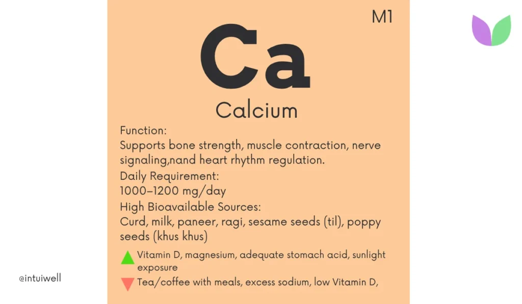 Calcium Benefits and Sources The Complete Guide to Strong Bones Muscles and Overall Health
