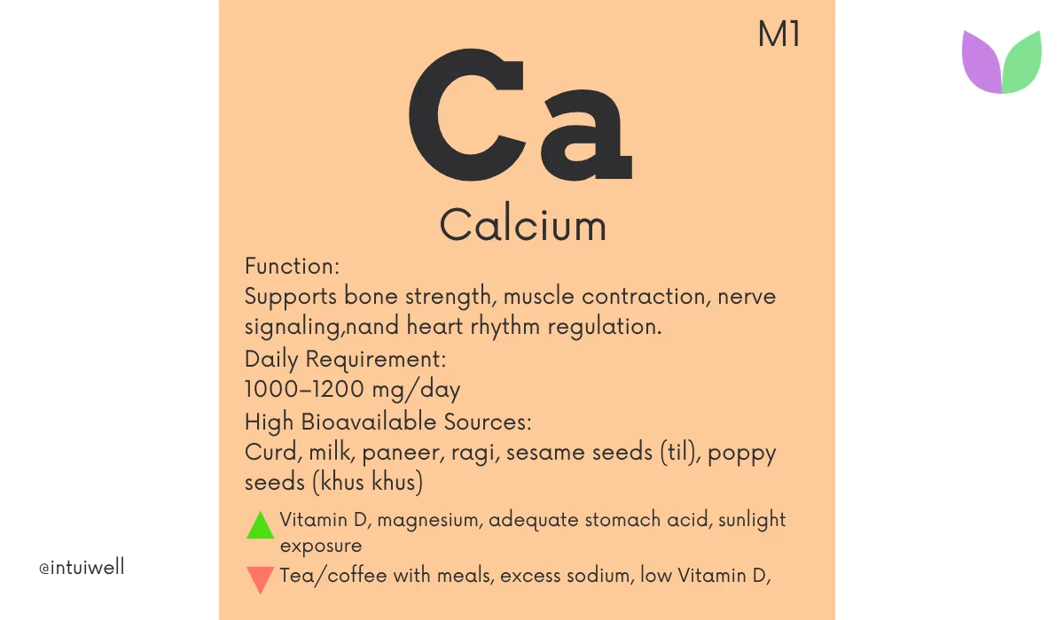 Calcium Benefits and Sources The Complete Guide to Strong Bones Muscles and Overall Health