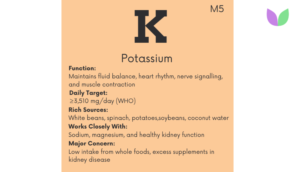 Potassium is the body’s primary intracellular electrolyte, supporting heart rhythm, nerve signalling, muscle contraction, fluid balance and blood pressure regulation. This guide explains potassium benefits, food sources, daily intake, deficiency signs, excess risks, supplement cautions and its role in the IntuiWell Nutrient Periodic Table™.