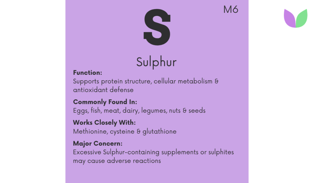 Sulphur Benefits, Sources & Role in the Body