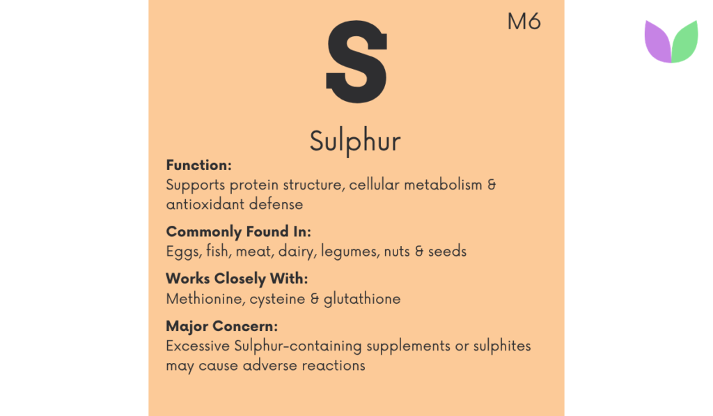 Sulphur is an essential mineral obtained mainly through sulphur-containing amino acids such as methionine and cysteine. Learn how it supports protein structure, glutathione, cellular metabolism, food sources, supplementation and its role in the IntuiWell Nutrient Periodic Table™.